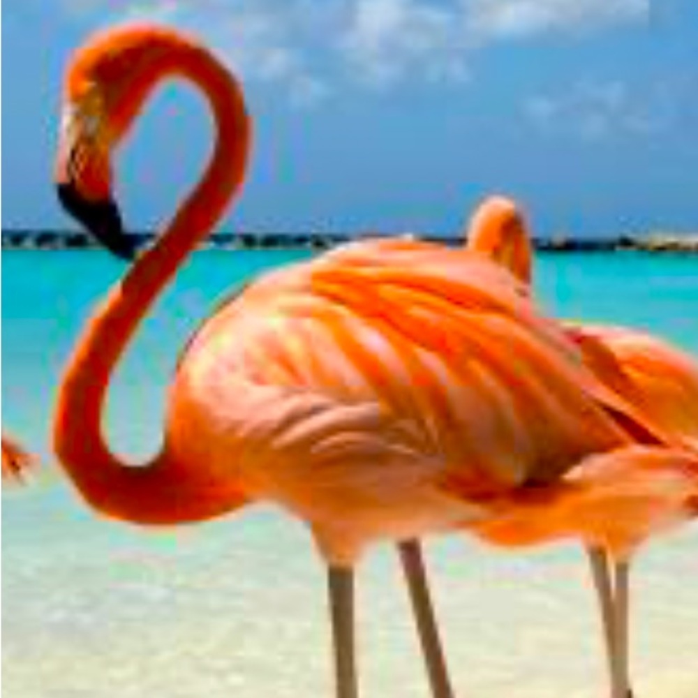 Back from the Caribbean!! Lots of fun handmade items for sale!!